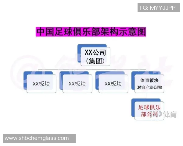 重庆足球队实力对比深度解析与未来发展趋势探讨 重庆足球队实力对比深度解析与未来发展趋势探讨