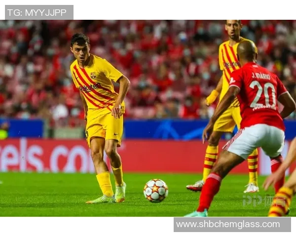 深圳足球队以98分领跑精英赛积分榜展现强劲实力