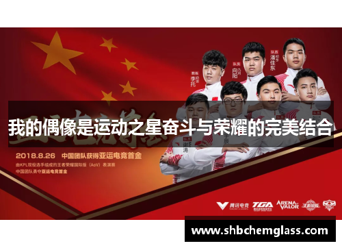 我的偶像是运动之星奋斗与荣耀的完美结合