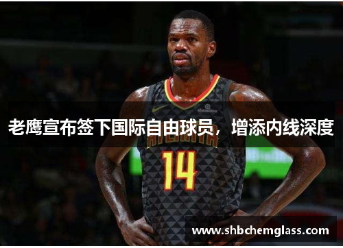 老鹰宣布签下国际自由球员，增添内线深度