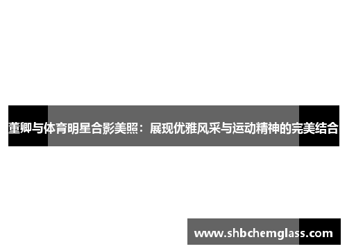董卿与体育明星合影美照：展现优雅风采与运动精神的完美结合