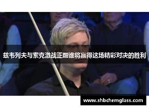 兹韦列夫与索克激战正酣谁将赢得这场精彩对决的胜利
