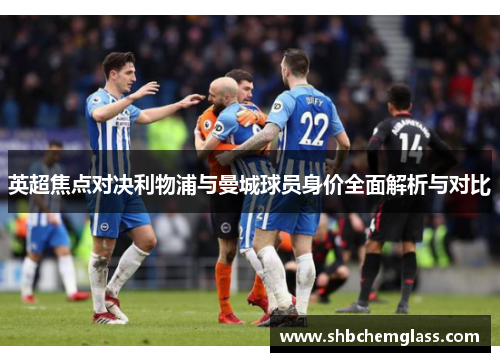英超焦点对决利物浦与曼城球员身价全面解析与对比